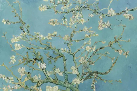 Puzzle Amandier en fleurs, Van Gogh