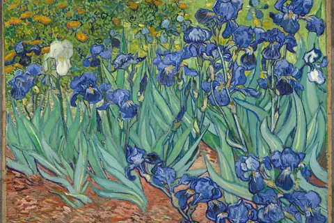 Puzzle Les Iris, Van Gogh