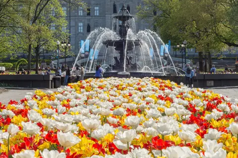Puzzle Massif de fleurs à Québec